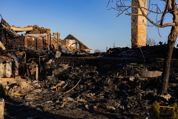 Reliable Fire Damage Removal contractor in Dover, FL by Fire Damage Doption