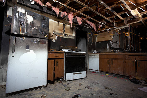 Licensed Fire Damage Removal service in Dover, FL - Fire Damage Doption